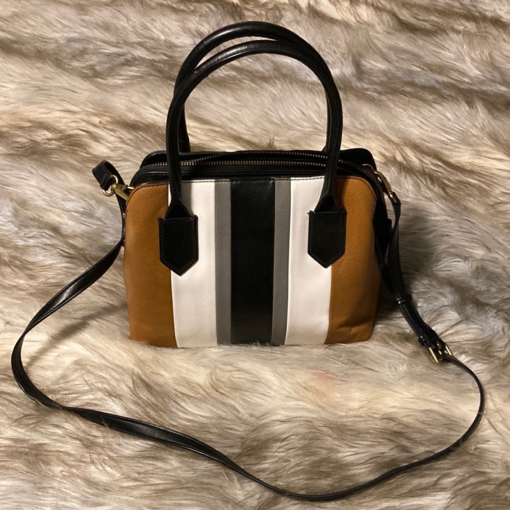 Multicolor neutral Fossil purse